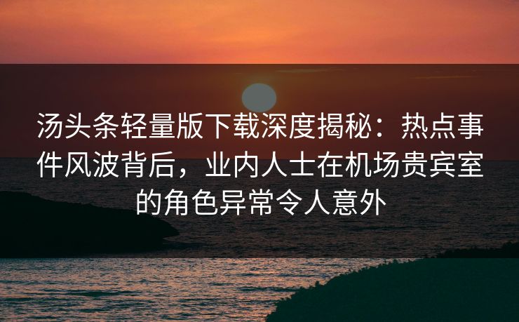 汤头条轻量版下载深度揭秘：热点事件风波背后，业内人士在机场贵宾室的角色异常令人意外