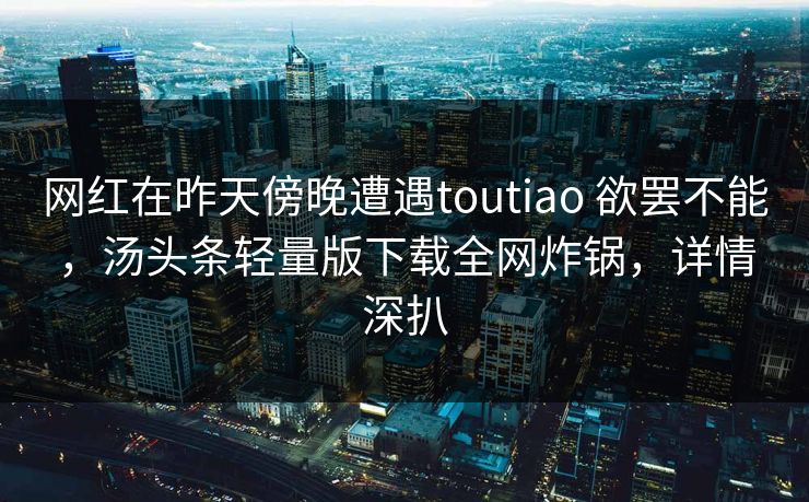 网红在昨天傍晚遭遇toutiao 欲罢不能，汤头条轻量版下载全网炸锅，详情深扒